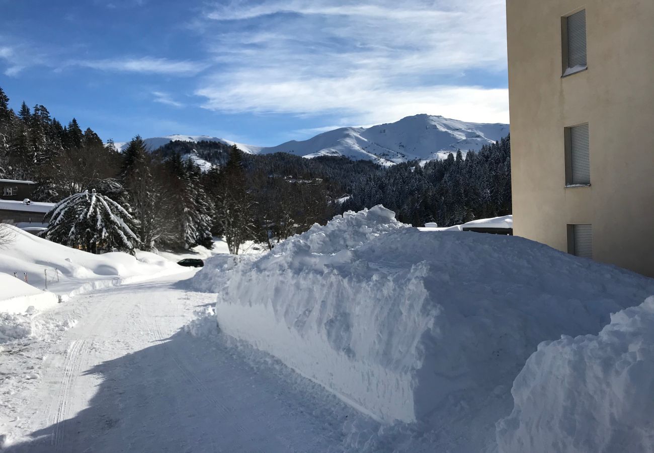 Apartment in Le Lioran - ALTURA T4 neuf, terrasse sud face aux montagnes