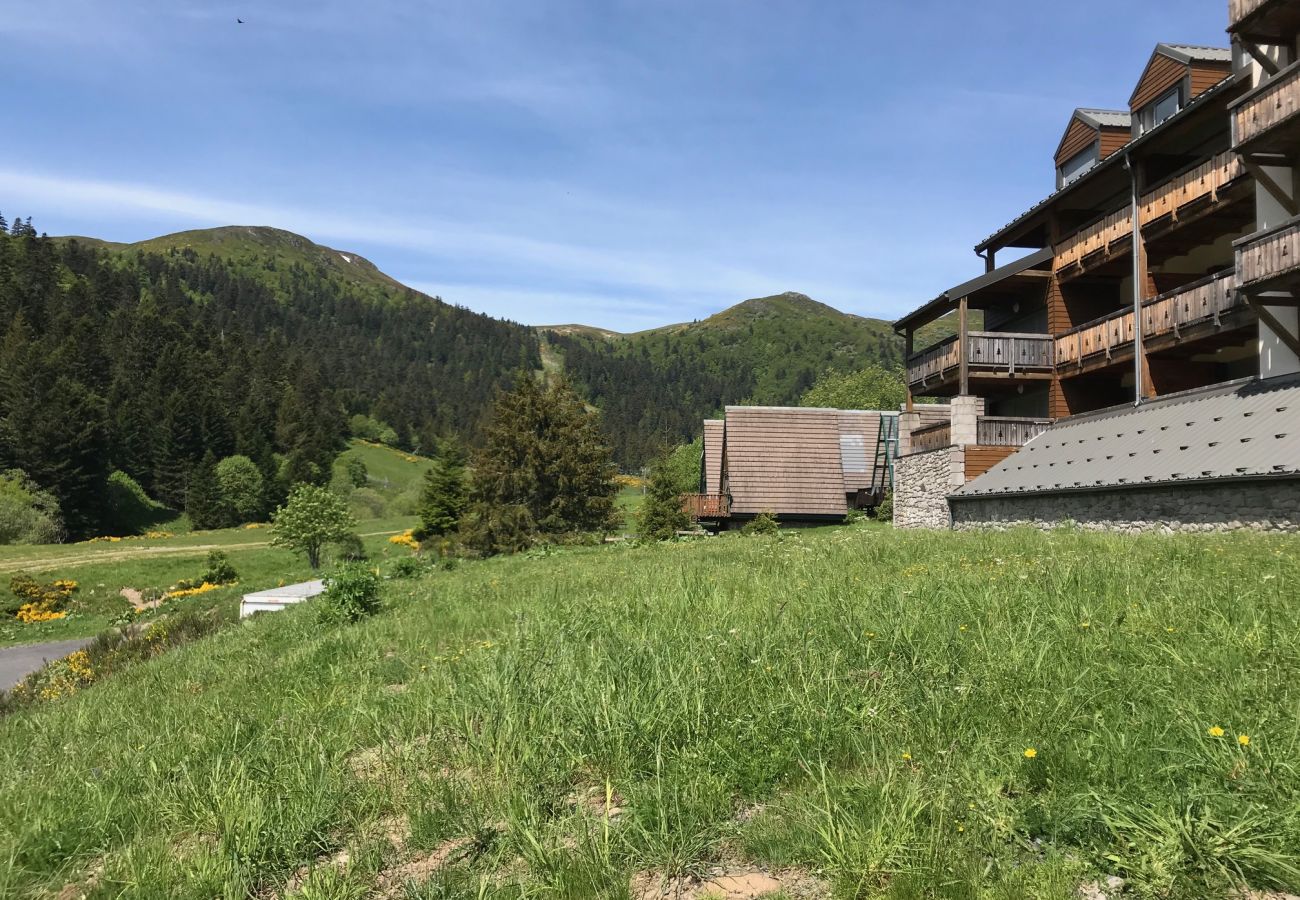 Apartment in Le Lioran - ALTURA T2 Duplex wifi au pied des montagnes