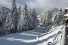 Apartment in Le Lioran - Rocher du Cerf, skis aux pieds, 3 ch,2 sdb