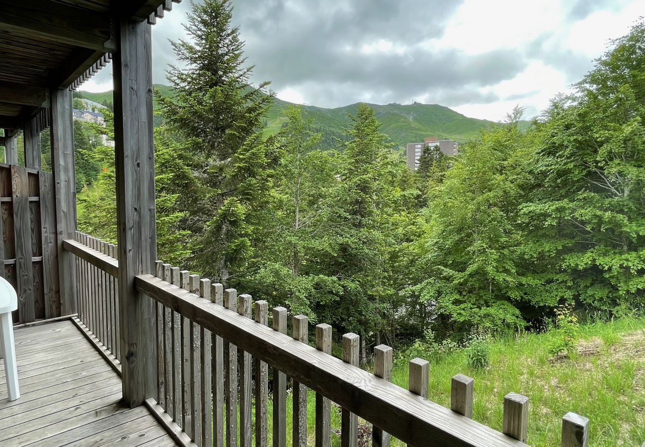 Apartment in Le Lioran - Chalet D R-1D Masseboeuf