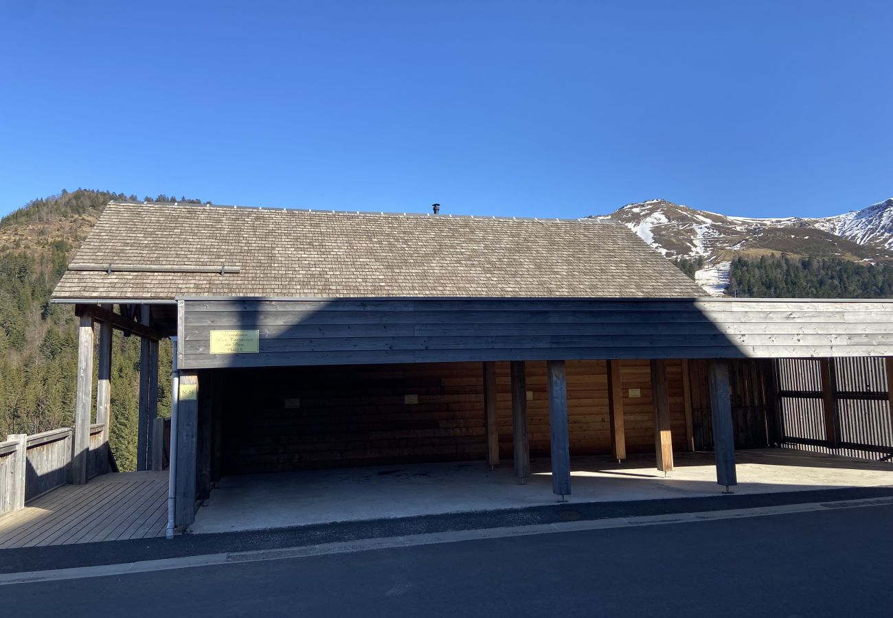 Apartment in Le Lioran - Chalet D R-1D Masseboeuf