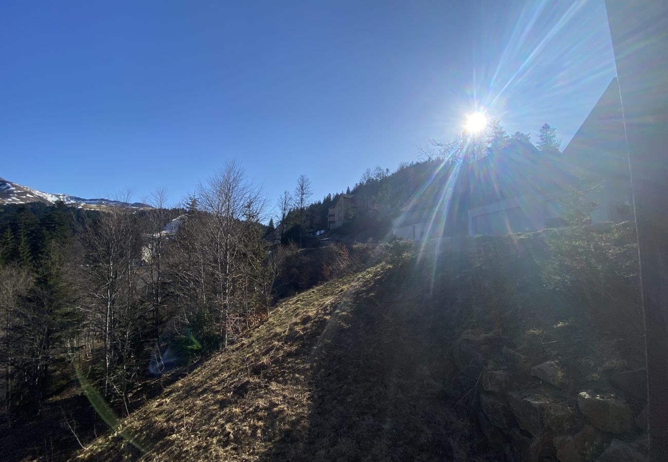 Apartment in Le Lioran - Chalet D R-1D Masseboeuf