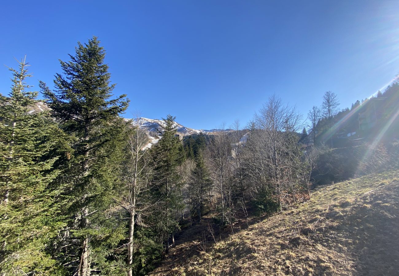 Apartment in Le Lioran - Chalet D R-1D Masseboeuf