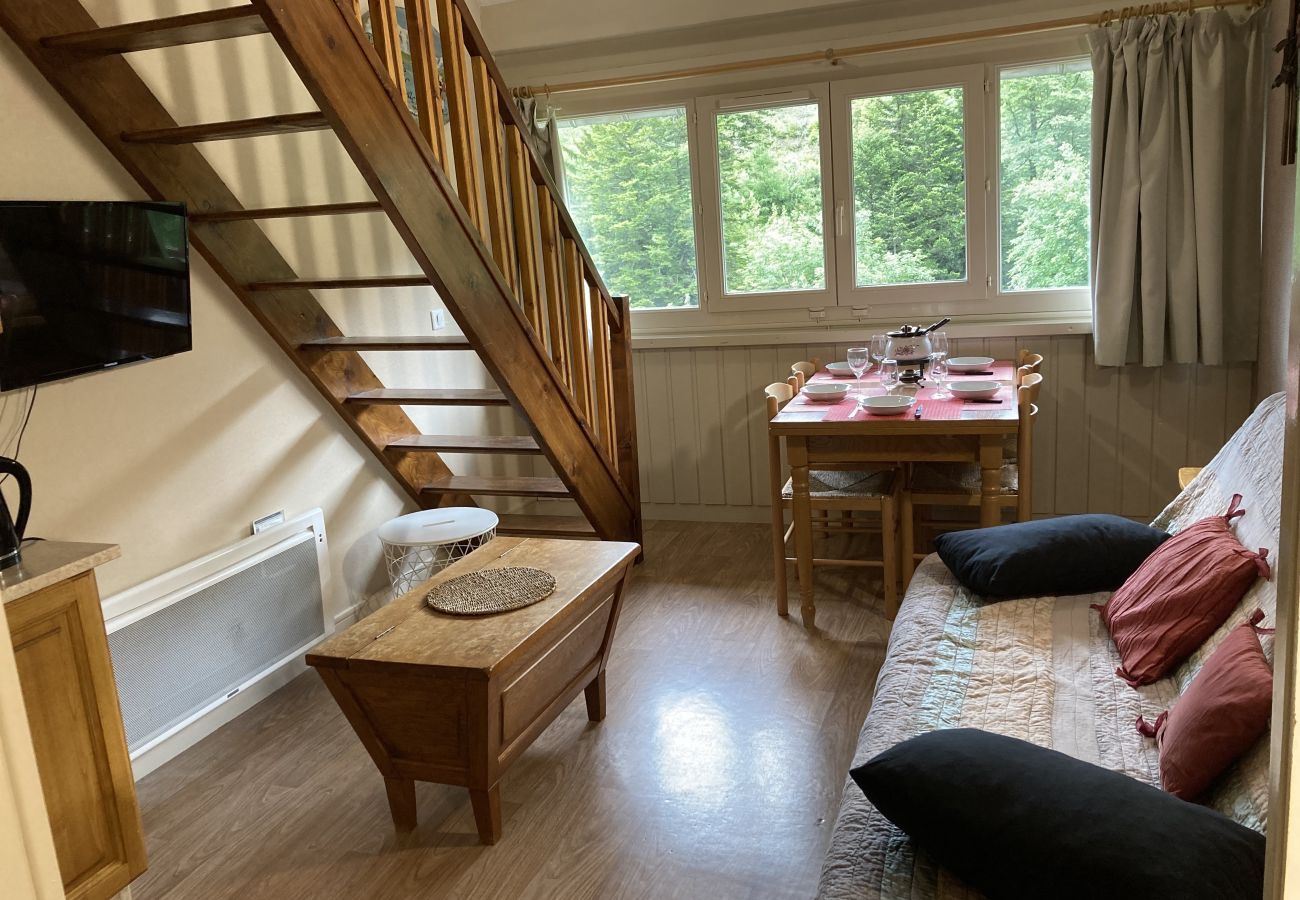 Apartment in Le Lioran - Residence Bec de l'Aigle N°30