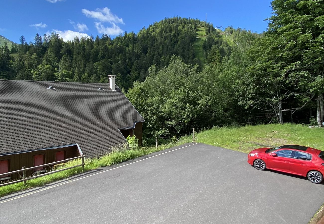 Chalet in Le Lioran - Chalet N°48 Bec de l'Aigle 