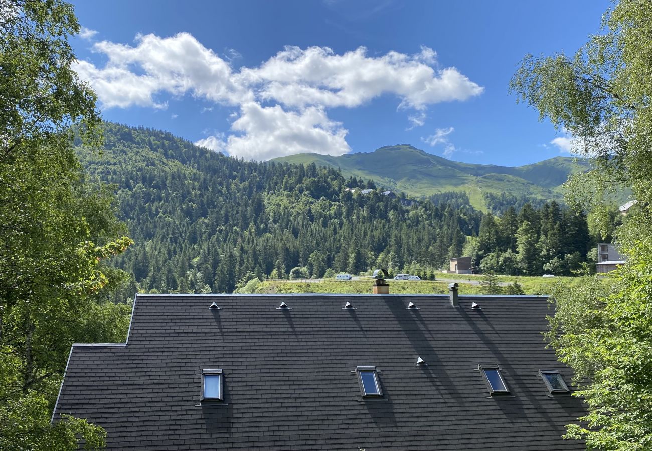 Chalet in Le Lioran - Chalet Individuel Bec de l'Aigle