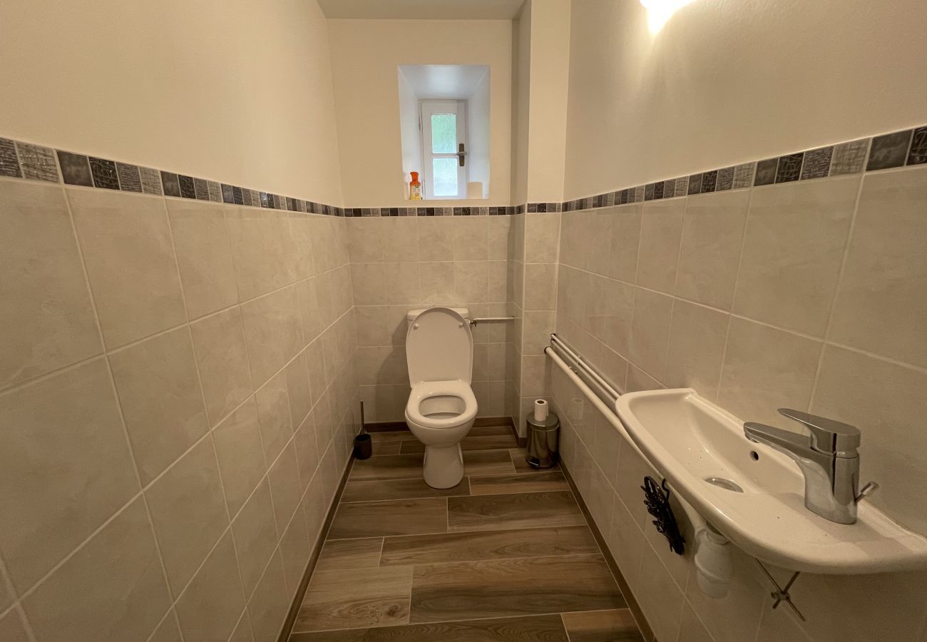 House in Cheylade - Puy Mary, Volcans d'auvergne