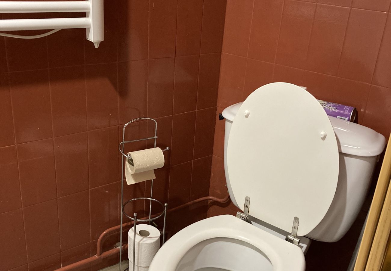 Studio in Laveissière - Studio duplex hyper centre 4 personnes