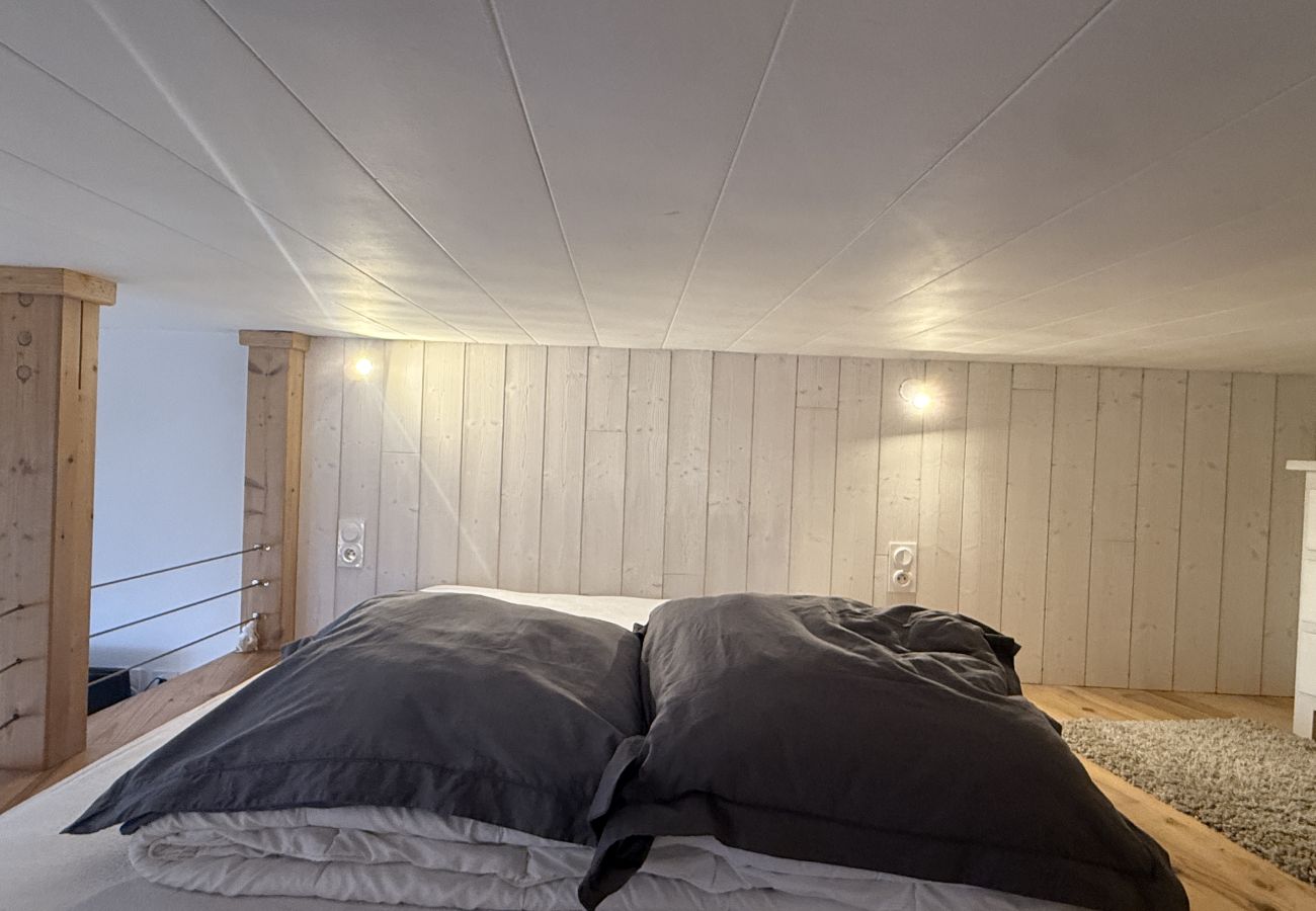 Studio in Laveissière - Studio duplex hyper centre 4 personnes