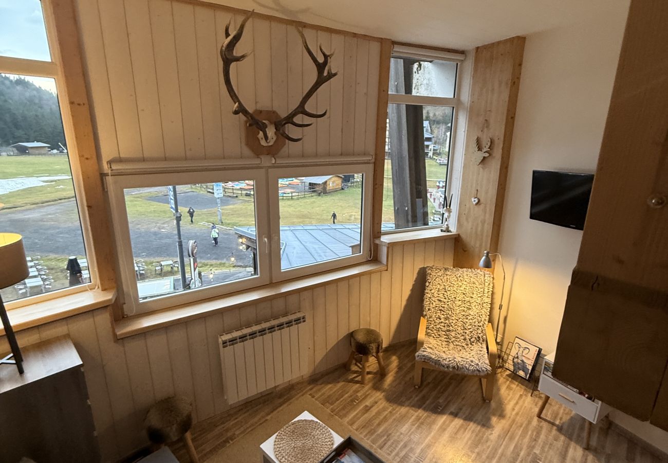 Studio in Laveissière - Studio duplex hyper centre 4 personnes