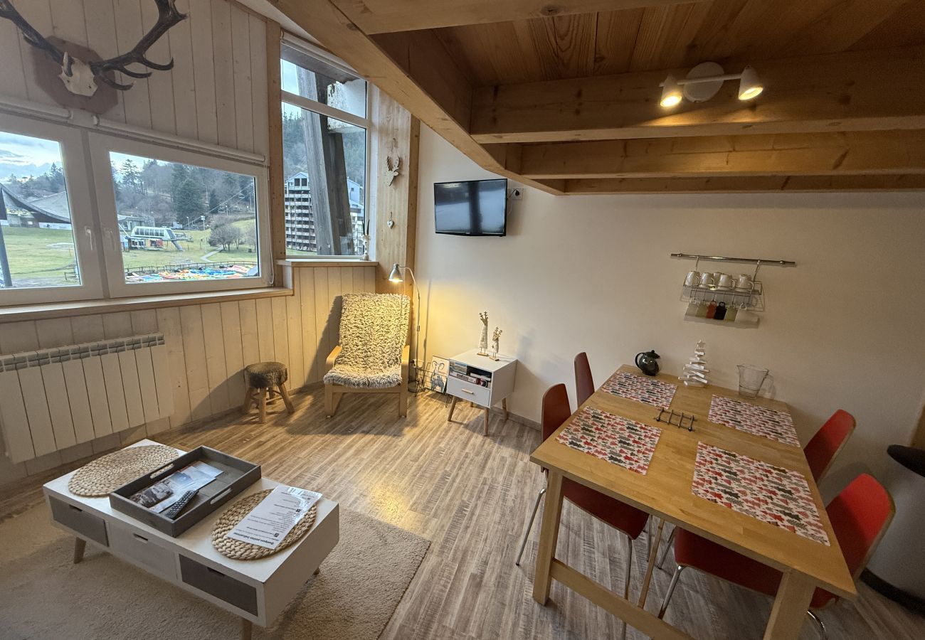 Studio in Laveissière - Studio duplex hyper centre 4 personnes