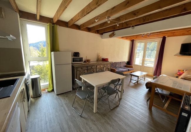  in Le Lioran - Appartement T3 résidence porte du Sud