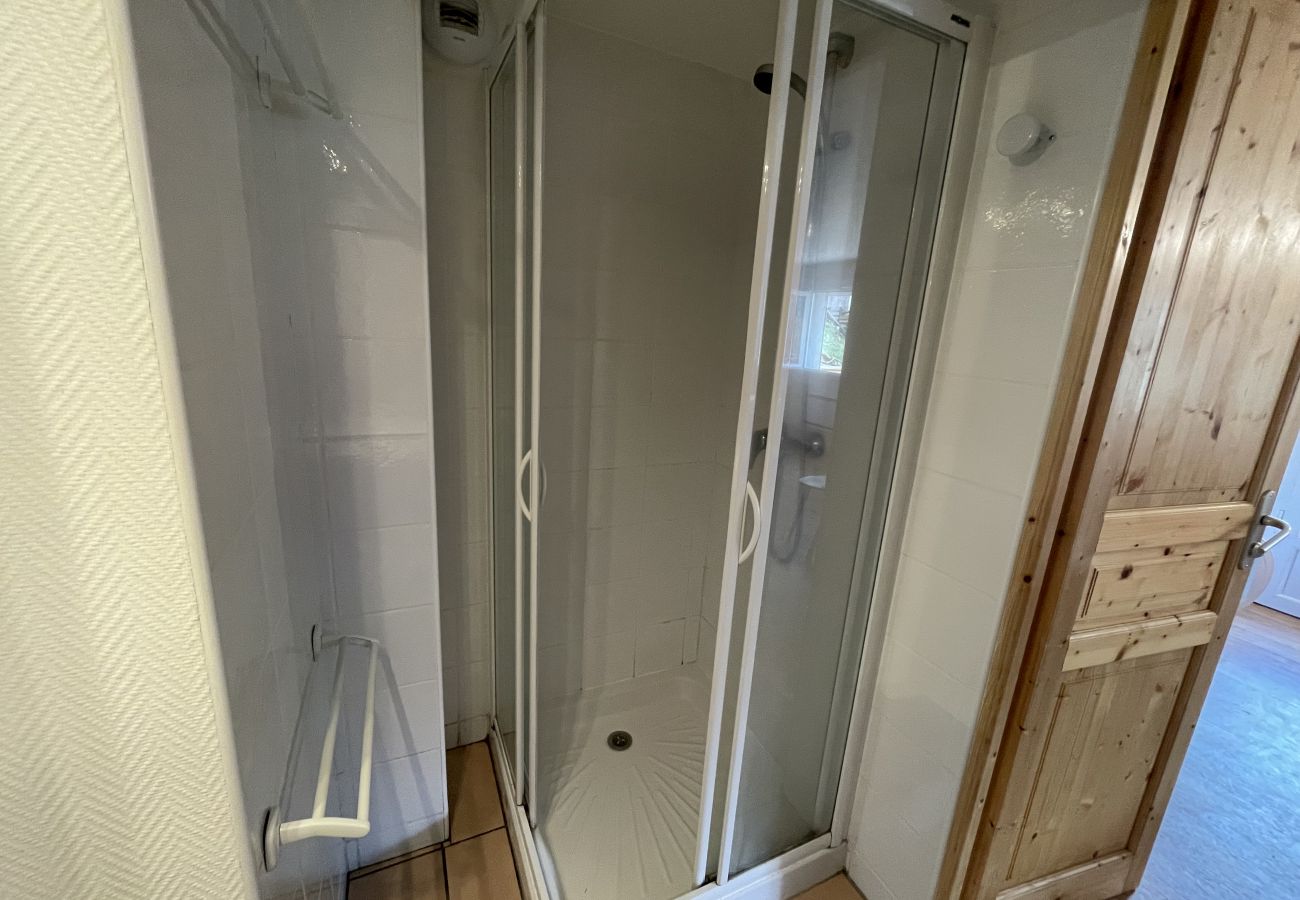 Studio in Le Lioran - Studio avec piscine - Résidence Remberter