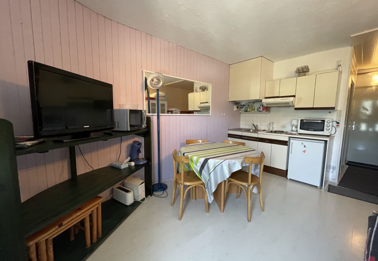 Studio in Le Lioran - Studio résidence La Sumène