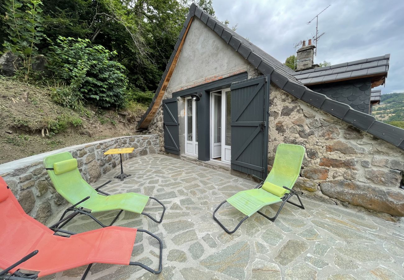 House in Laveissière - Maison au coeur des Volcans d'Auvergne