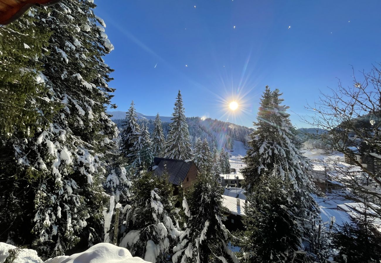 Chalet in Le Lioran - Chalet individuel - Rocher du cerf