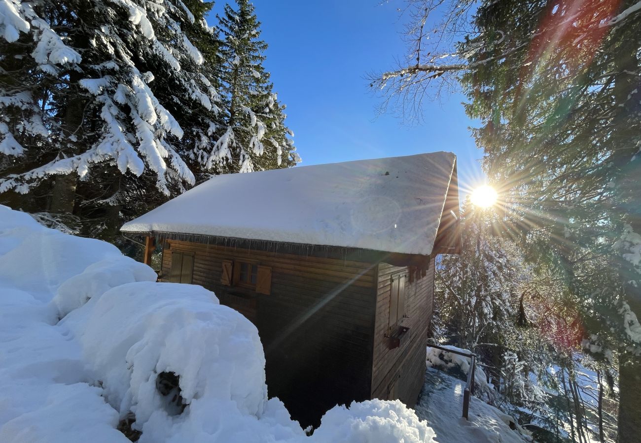 Chalet in Le Lioran - Chalet individuel - Rocher du cerf