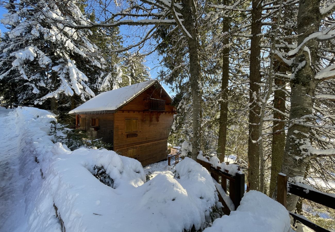 Chalet in Le Lioran - Chalet individuel - Rocher du cerf