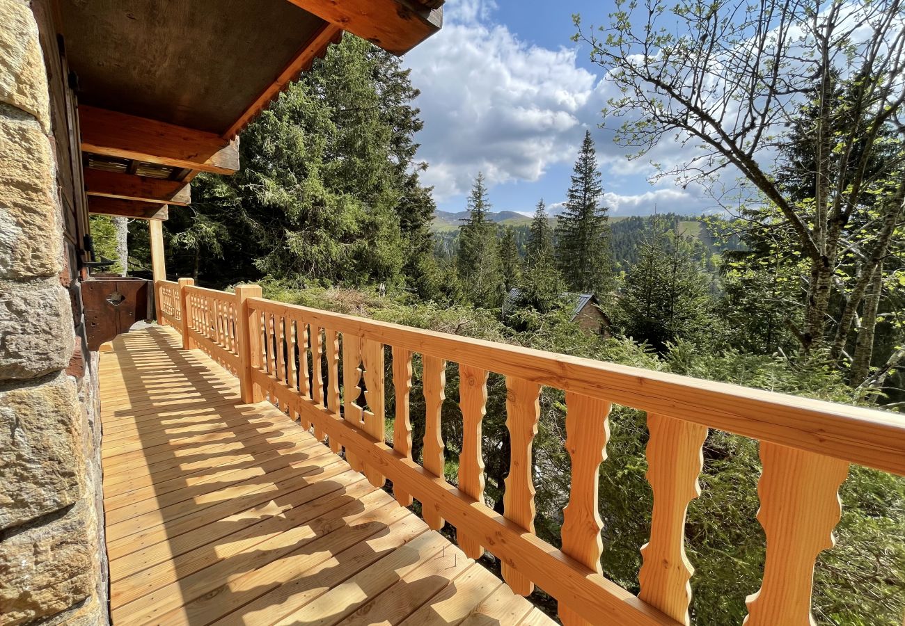 Chalet in Le Lioran - Chalet individuel - Rocher du cerf
