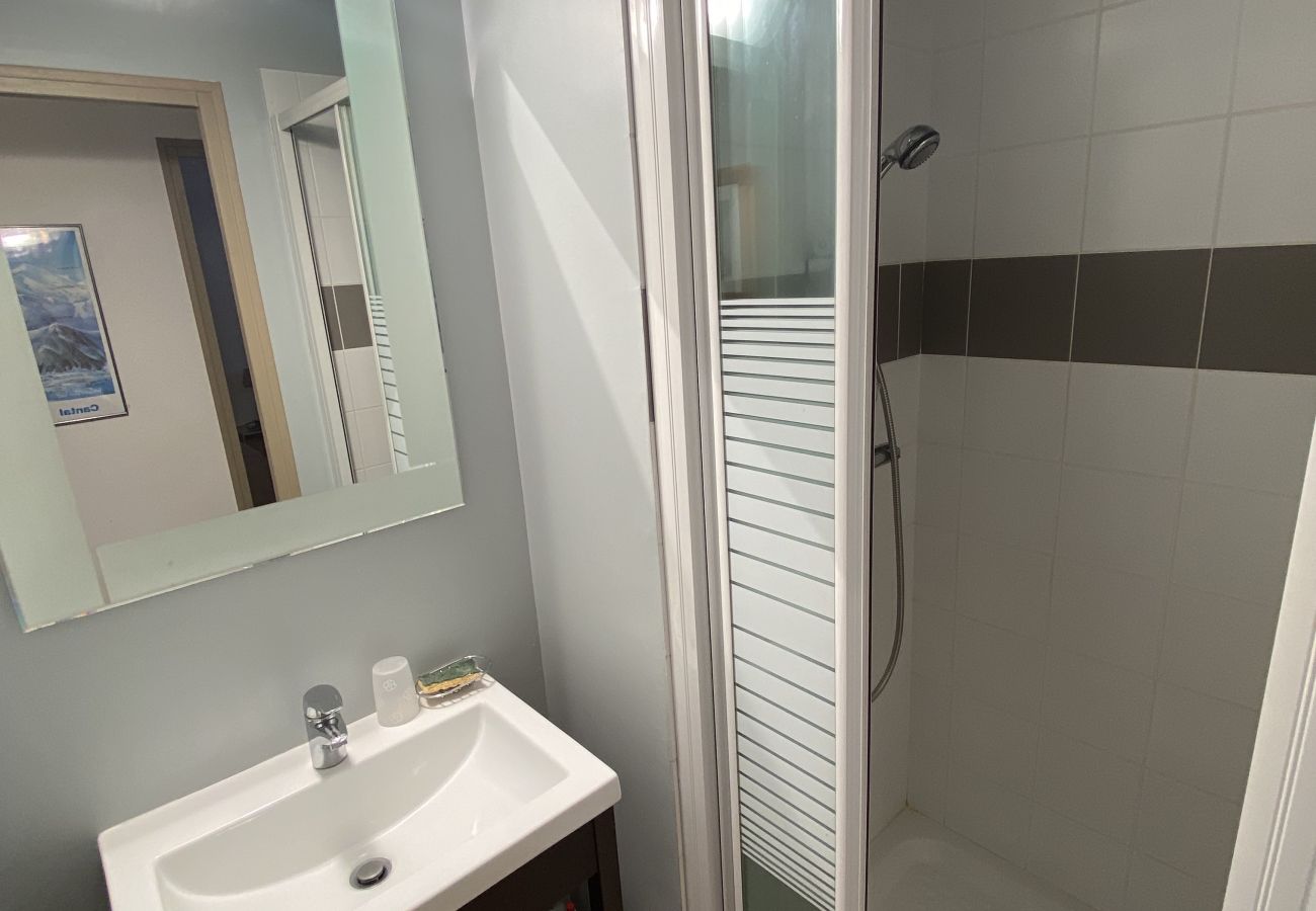 Apartment in Le Lioran - Duplex N°5 Résidence Puy du Rocher