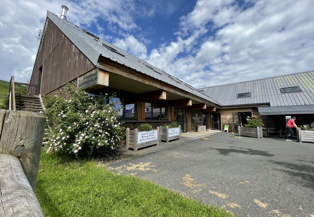 Apartment in Albepierre-Bredons - Appartement le chamalière