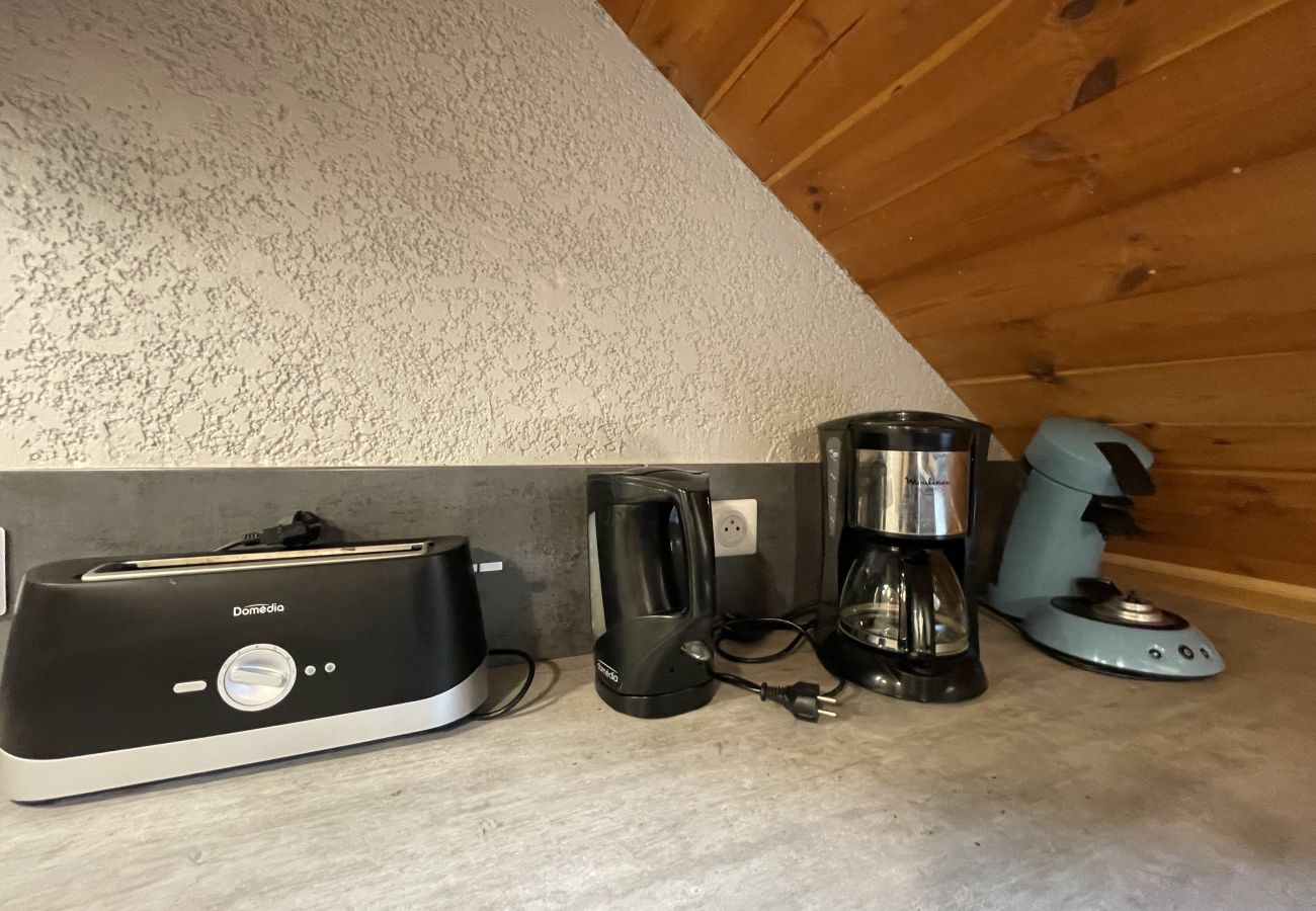 Apartment in Albepierre-Bredons - Appartement le Prat-de-bouc