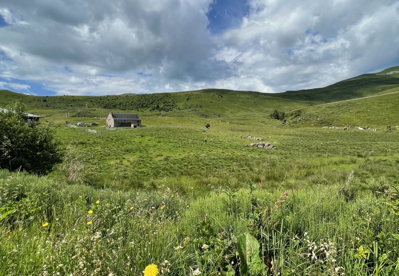 Cottage in Albepierre-Bredons - Gîte le Plomb du Cantal