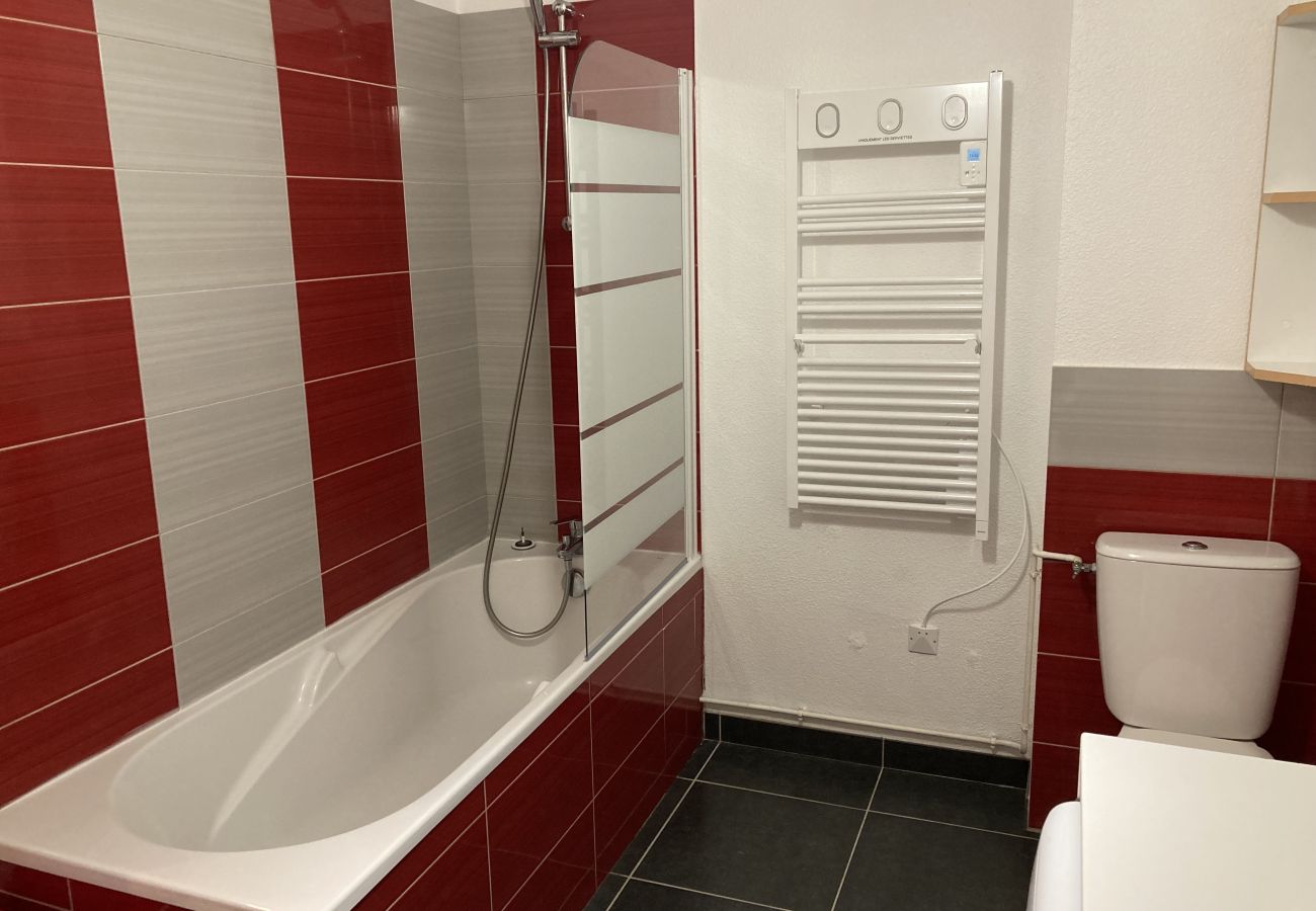 Apartment in Laveissière - T2 avec vue sur les montagnes et wifi &agrave; Alt