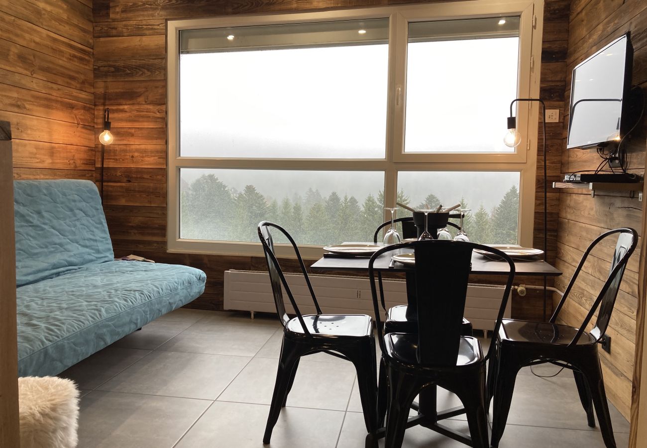 Studio in Le Lioran - Studio cosy dans la tour Sumene