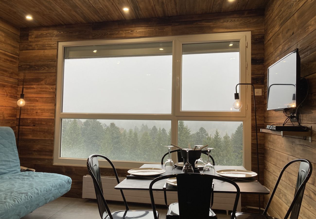 Studio in Le Lioran - Studio cosy dans la tour Sumene