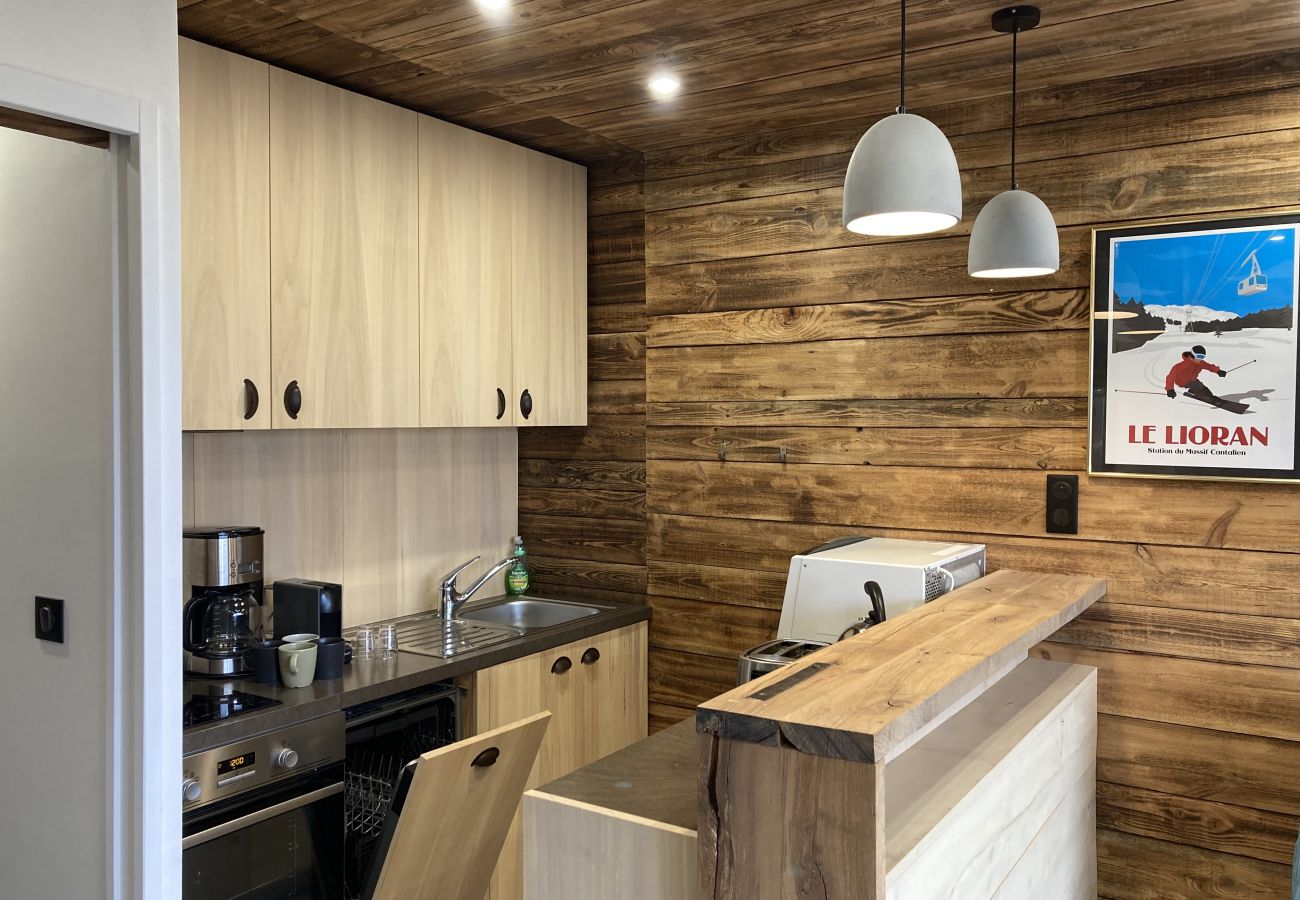 Studio in Le Lioran - Studio cosy dans la tour Sumene