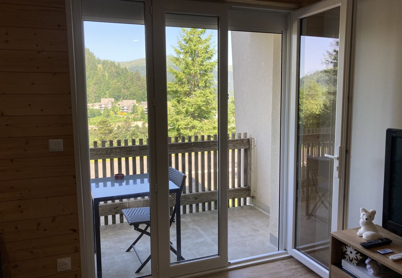 Apartment in Le Lioran - T2 montagne au rocher du cerf Apartment in Le Lioran - T2 montagne au rocher du cerf