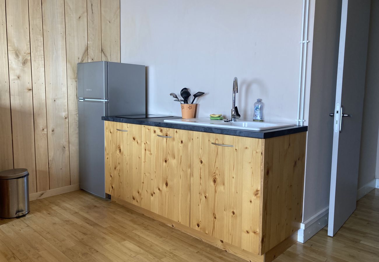 Studio in Saint-Jacques-des-Blats - Studio montagne à Altitude 1500