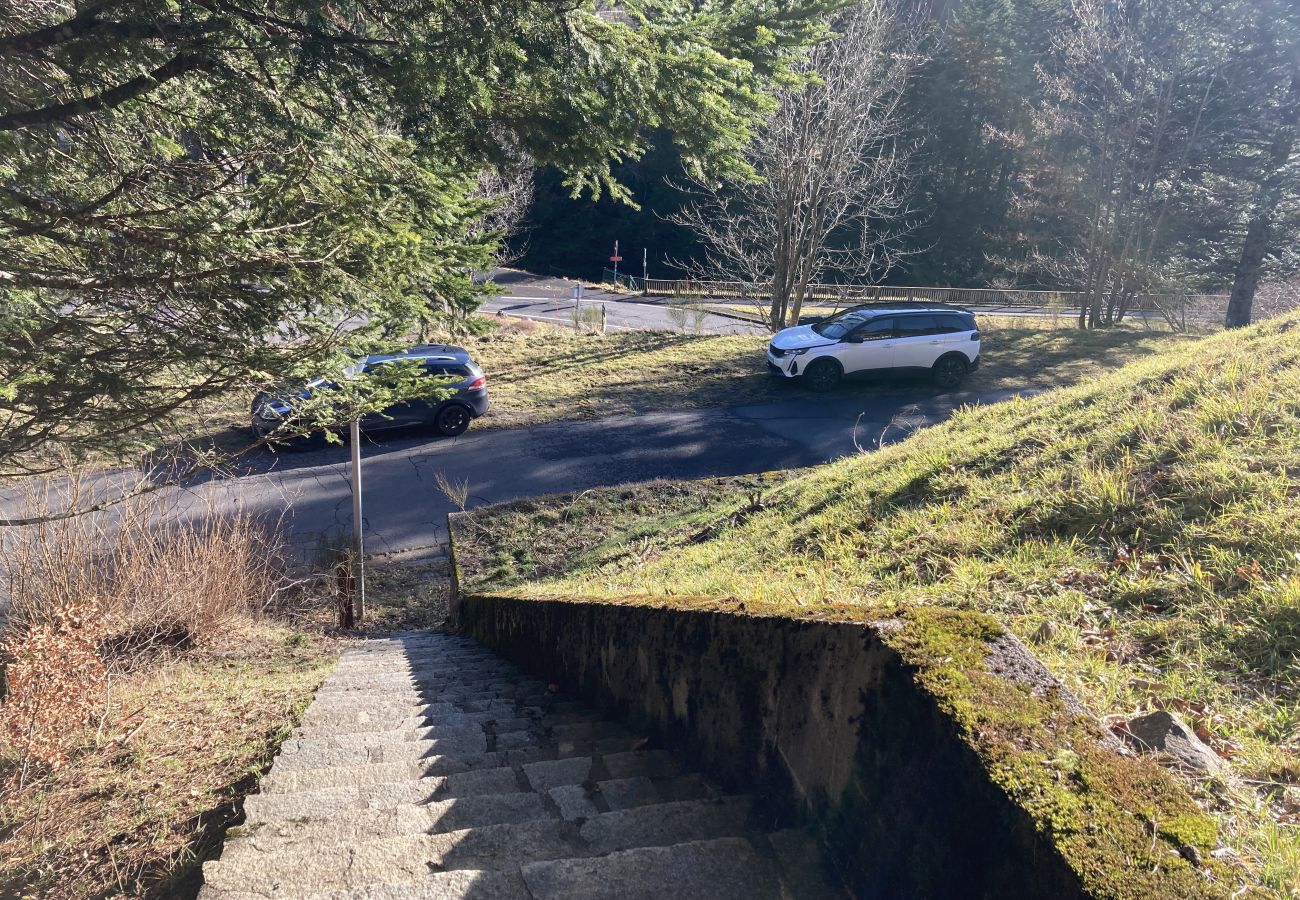 House in Laveissière - Maison Auvergnate Le repère des Milans