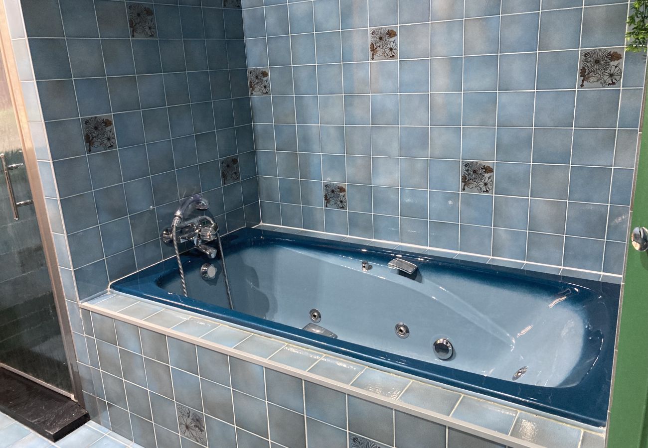 House in Laveissière - Maison Auvergnate Le repère des Milans