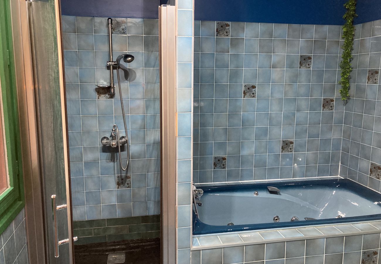 House in Laveissière - Maison Auvergnate Le repère des Milans