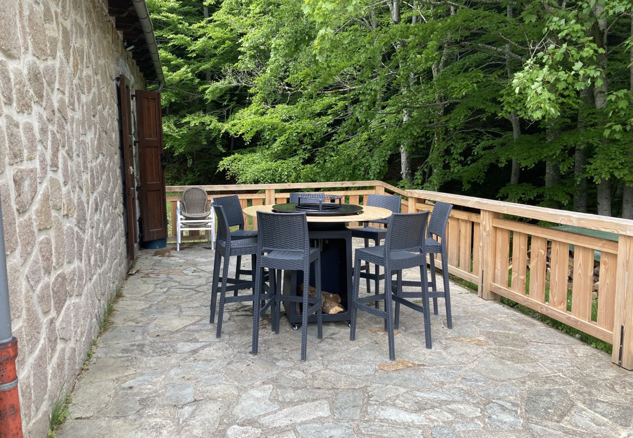 House in Laveissière - Maison Auvergnate Le repaire des Milans