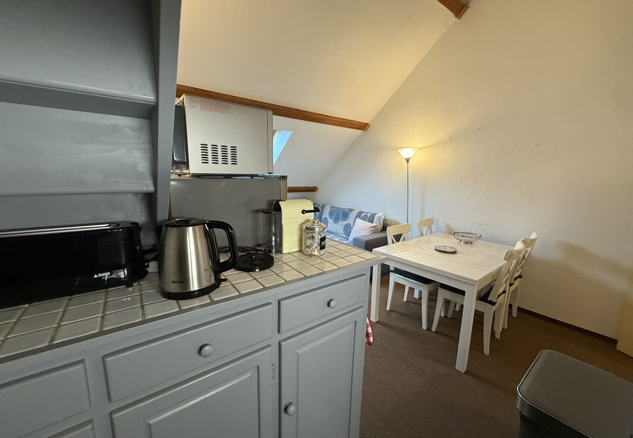 Apartment in Le Lioran - 2 chambres avec mezzanine à portes du sud