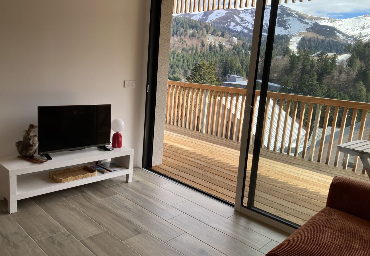 Apartment in Le Lioran - 2 chambres neuf  surplombant les pistes de Ski