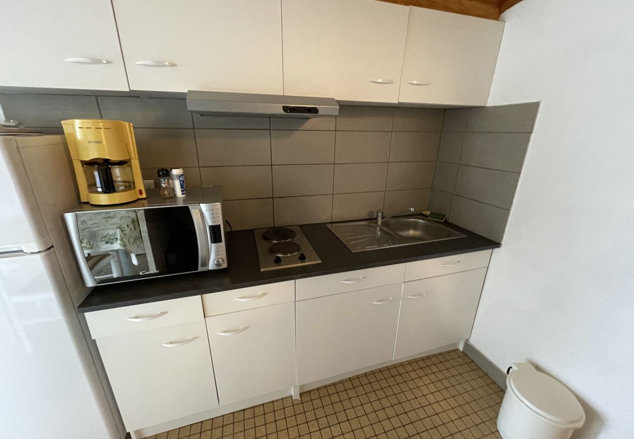 Semi-detached house in Le Lioran - Chalet Individuel à Font d`Alagnon
