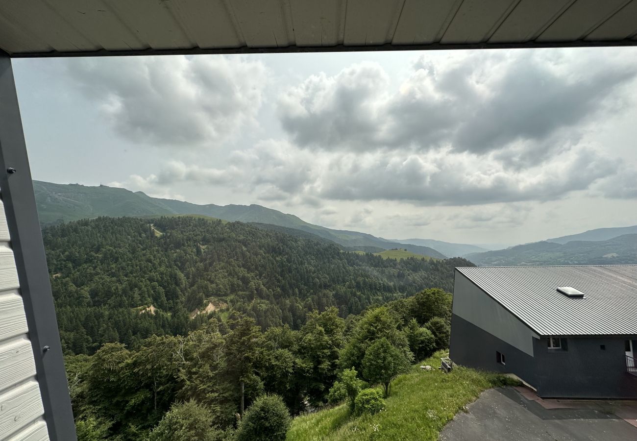 Apartment in Le Lioran - Appartement spacieux avec cheminée