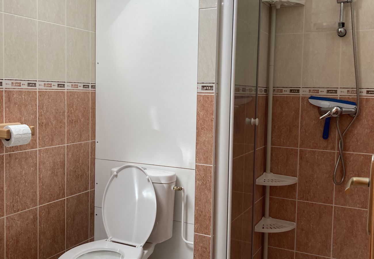 Apartment in Le Lioran - Duplex 5 chambres avec parkings au Puy du Rocher