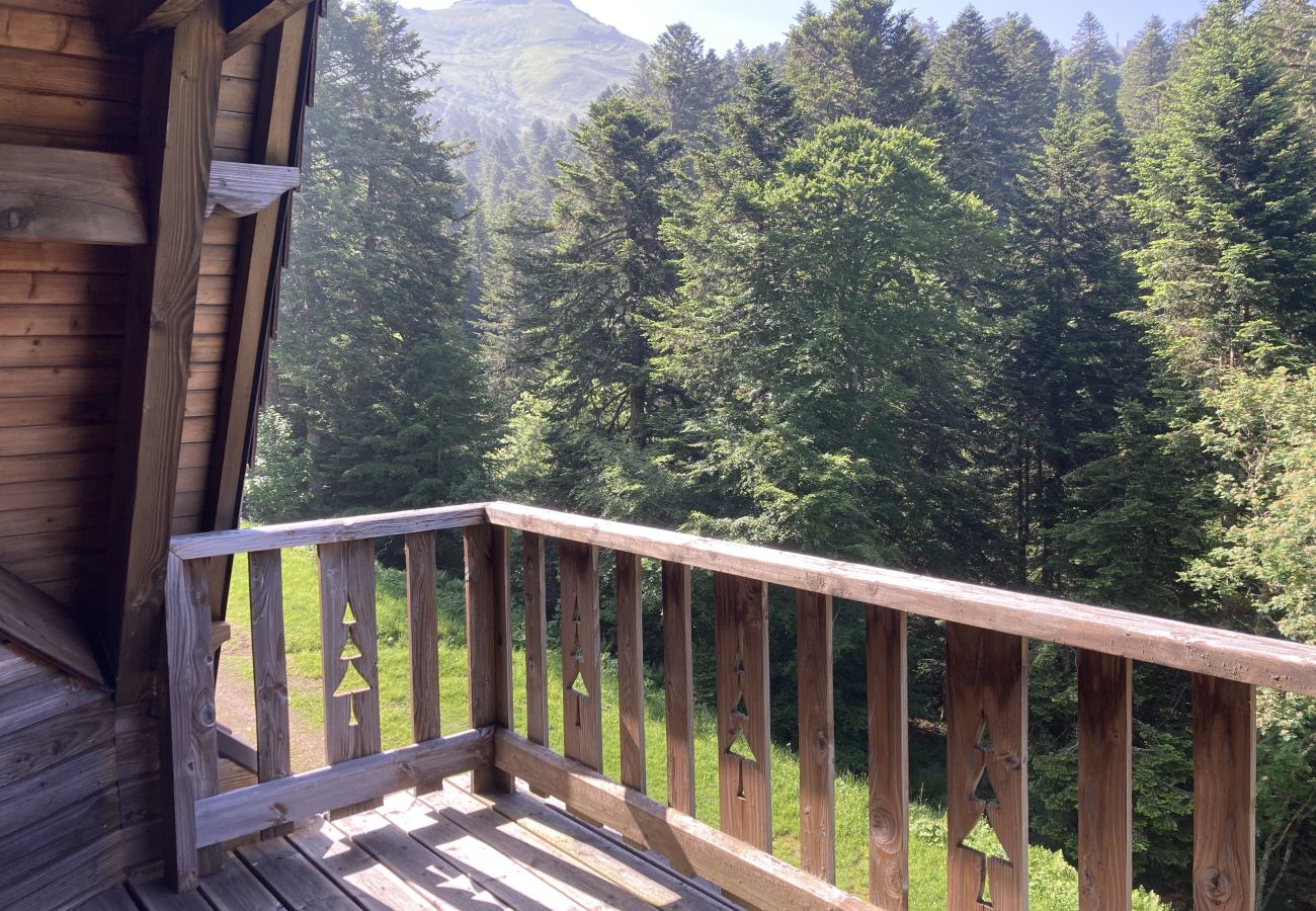 Apartment in Le Lioran - Duplex 5 chambres avec parkings au Puy du Rocher