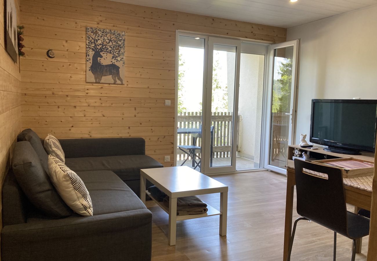 Apartment in Le Lioran - Appartement cosy à la résidence le rocher du cerf