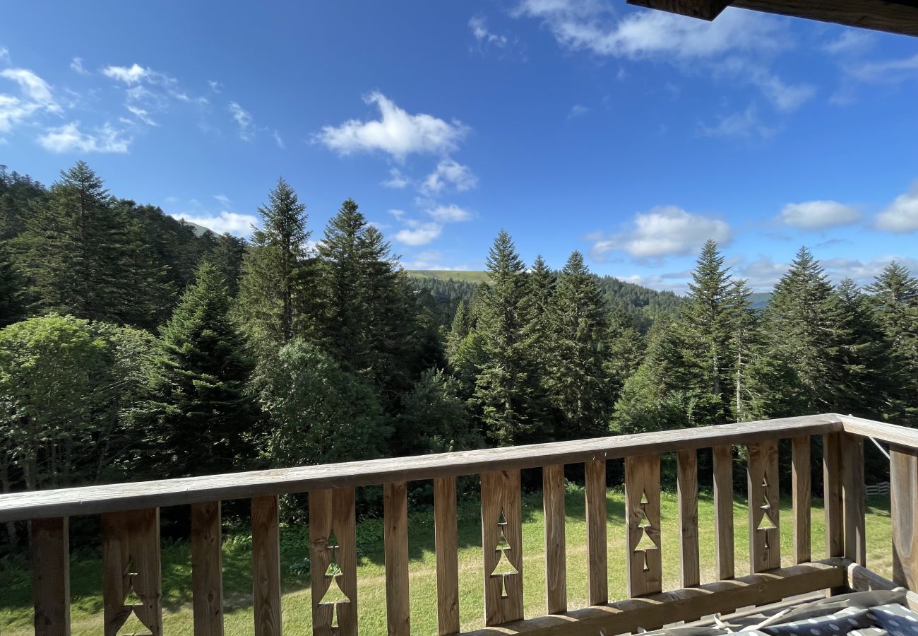 Apartment in Le Lioran - Duplex 3 chambres pieds de pistes