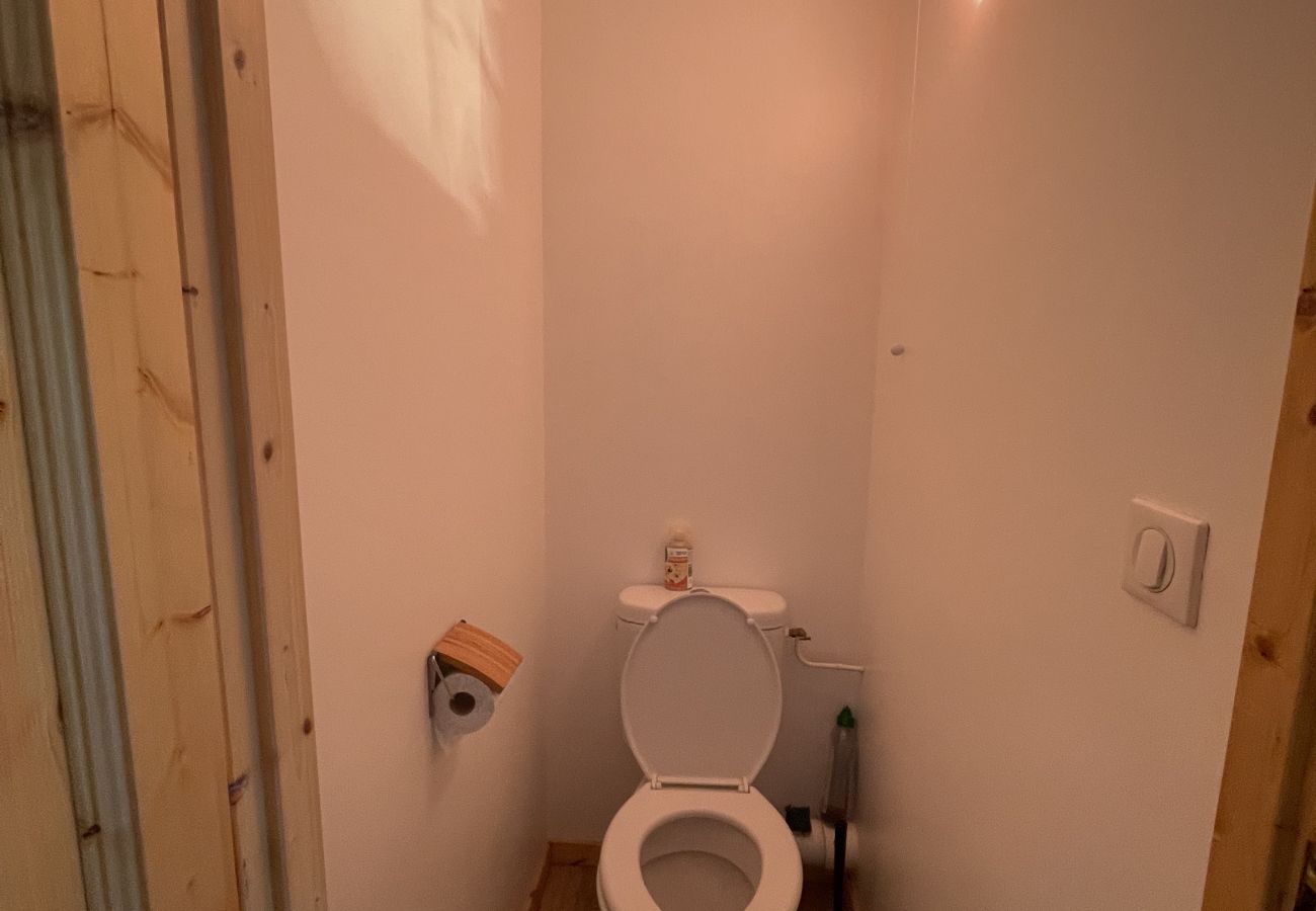 Apartment in Le Lioran - Duplex 3 chambres pieds de pistes