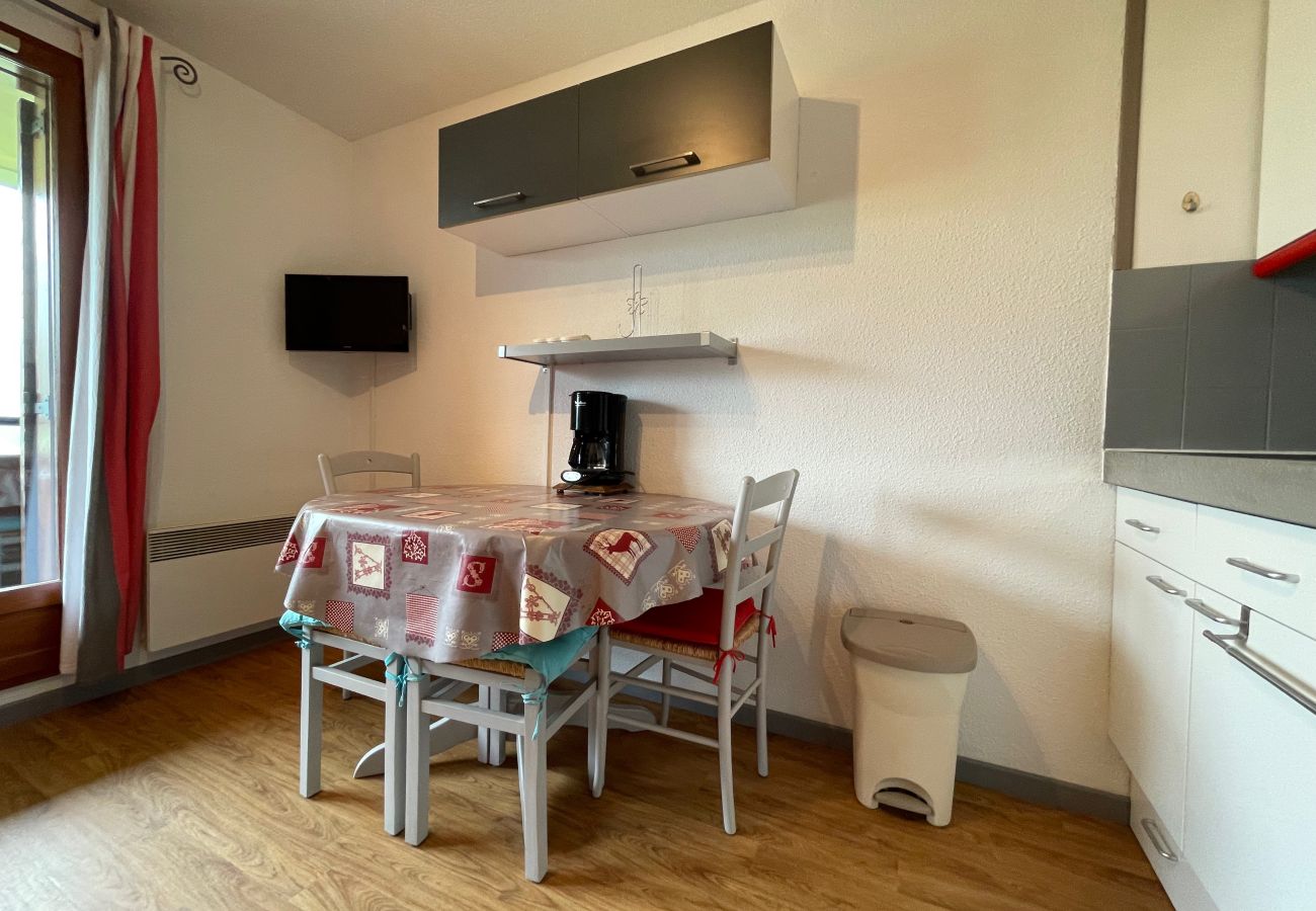 Studio in Le Lioran - Superbe studio centre station, vue pistes