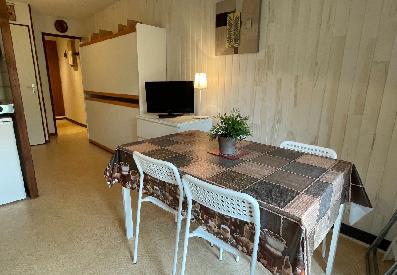 Apartment in Le Lioran - T2 pieds de pistes en centre station