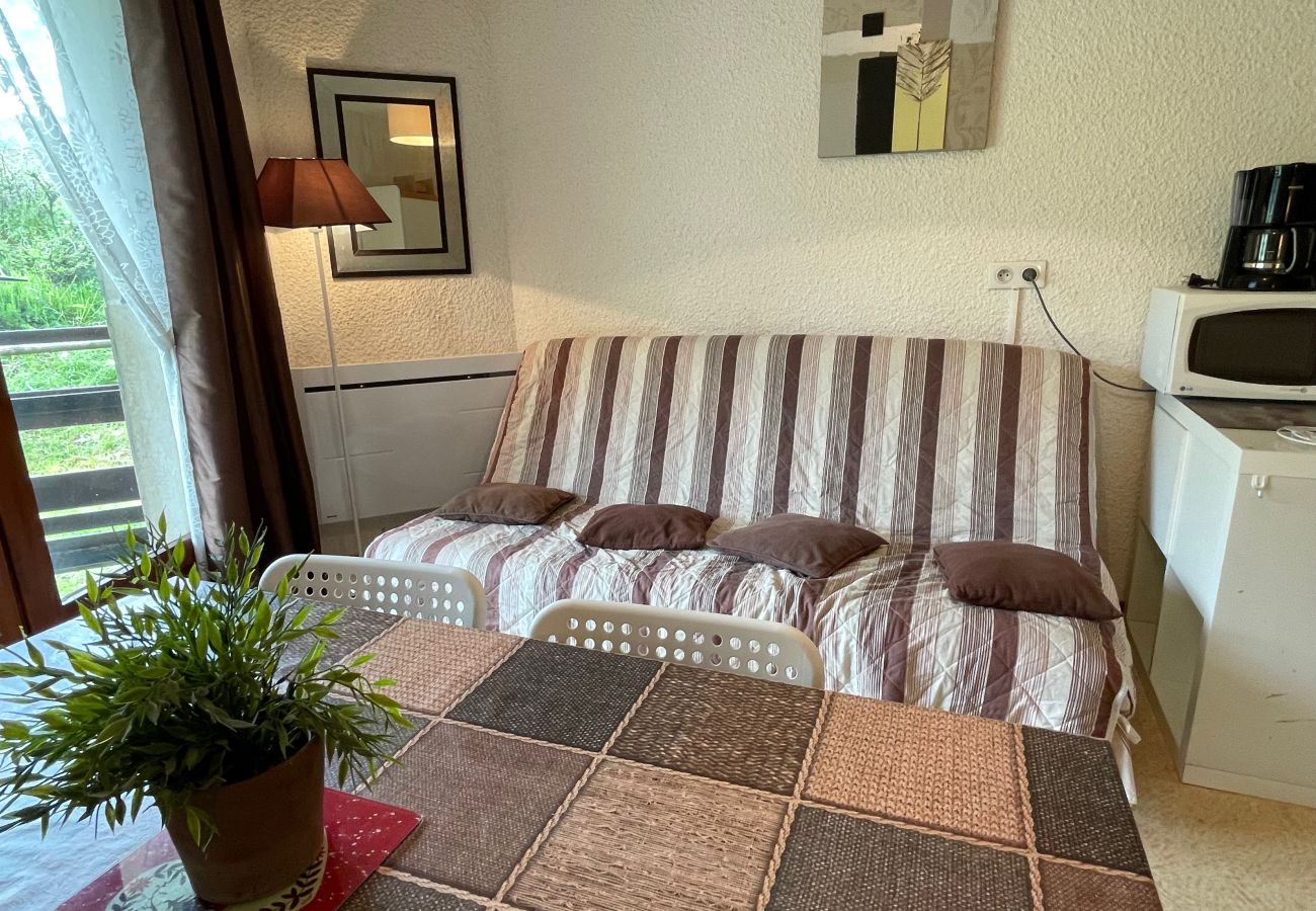 Apartment in Le Lioran - T2 pieds de pistes en centre station