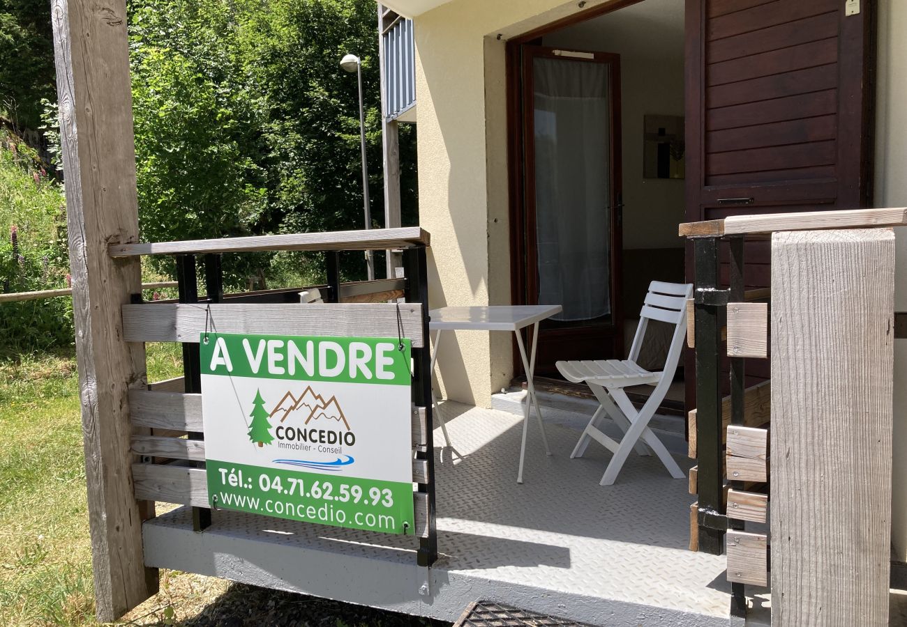 Apartment in Le Lioran - T2 pieds de pistes en centre station